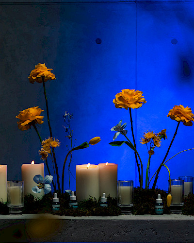 Gözəllik və İlham Gecəsi